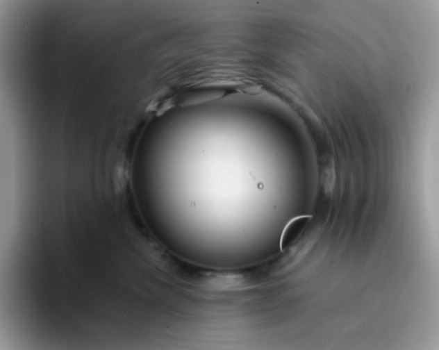 X0000094200476200711091222