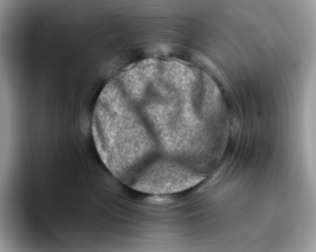 X0000094200477200711091222