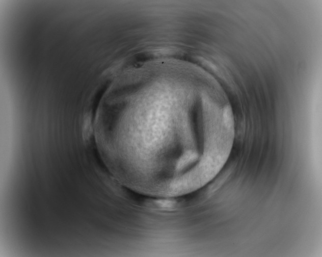 X0000094200478200711091222