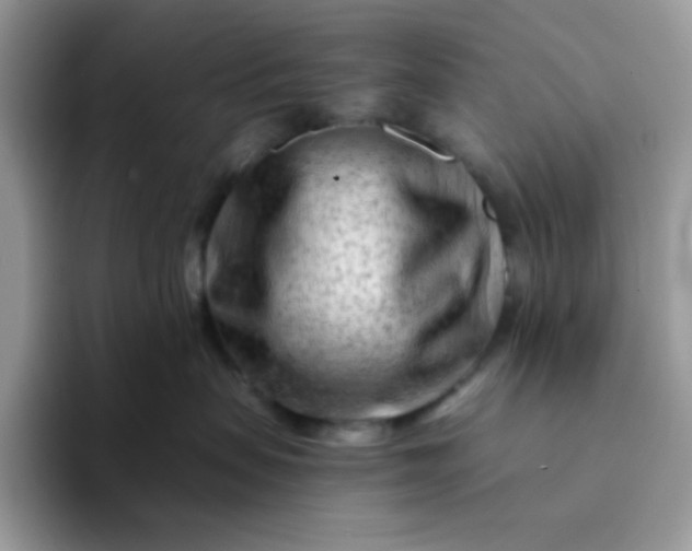 X0000094200479200711091222