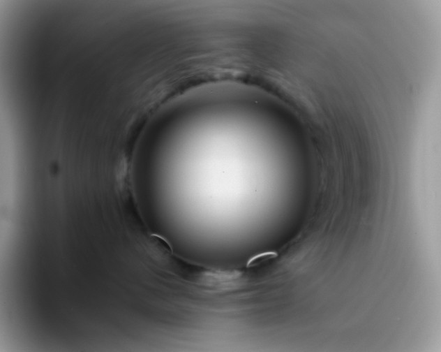 X0000094200480200711091222