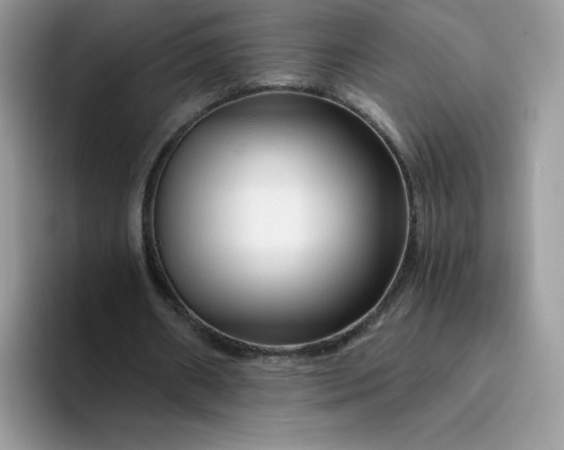 X0000094200482200711091222