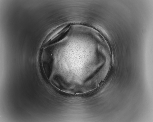 X0000094200483200711091222