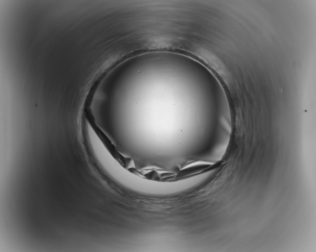 X0000094200485200711091222