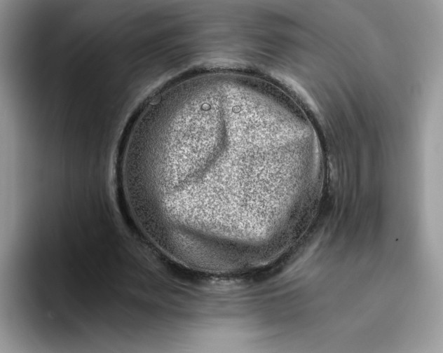 X0000094200487200711091222