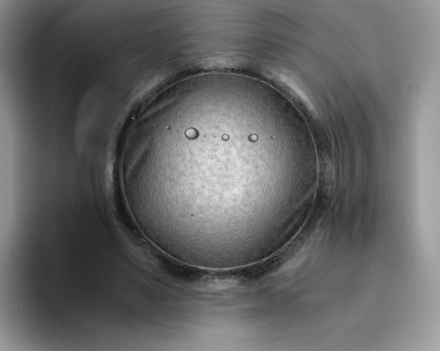 X0000094200491200711091222