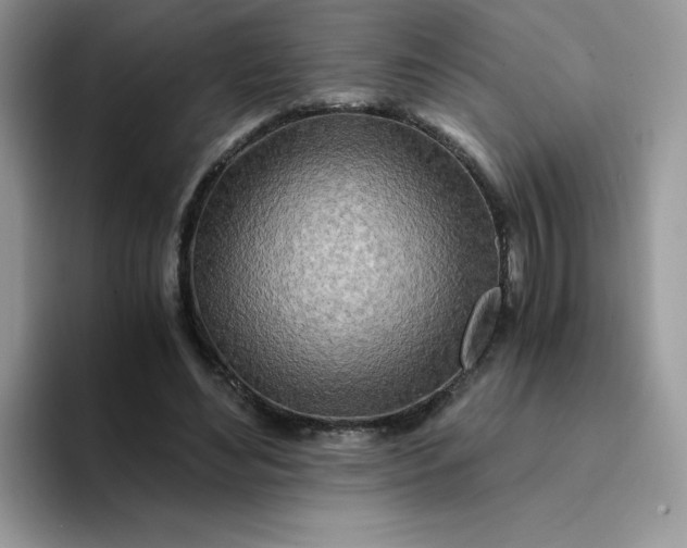 X0000094200492200711091222