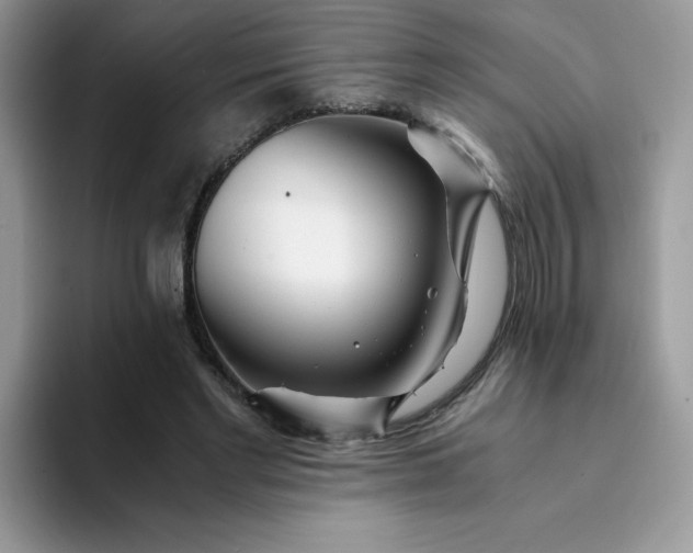 X0000094200493200711091222