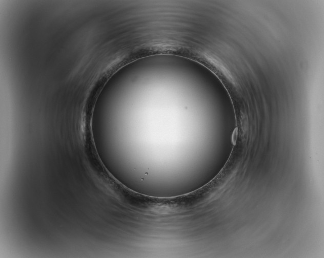 X0000094200494200711091222