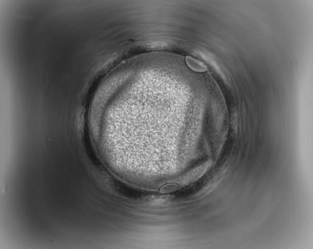 X0000094200495200711091222