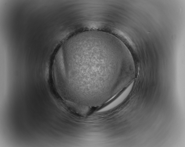 X0000094200496200711091222