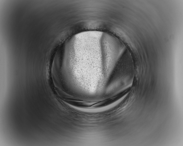 X0000094200497200711091222