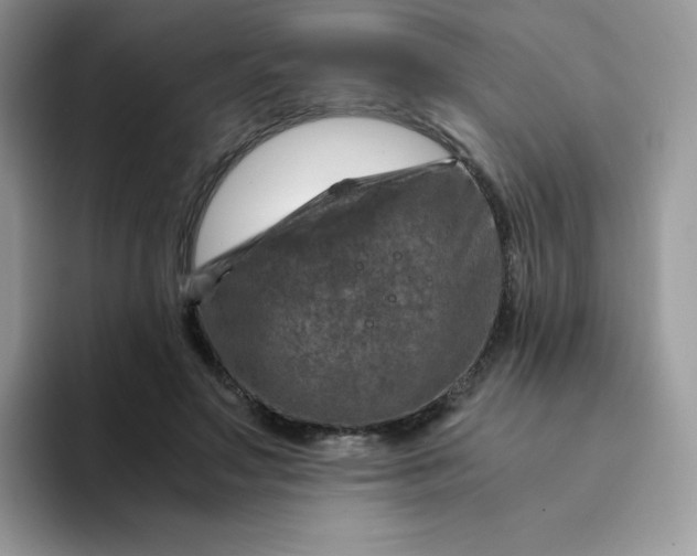 X0000094200499200711091222