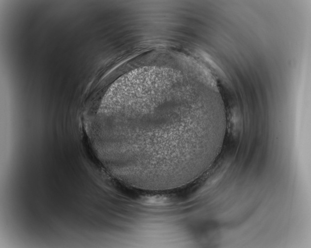 X0000094200500200711091222