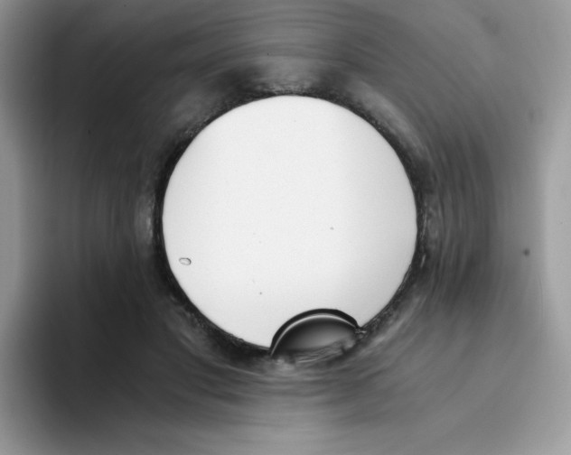 X0000094200501200711091222