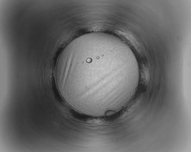 X0000094200503200711091221