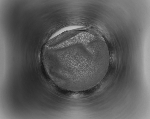 X0000094200504200711091221