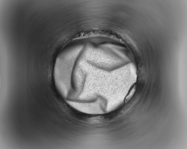 X0000094200505200711091221