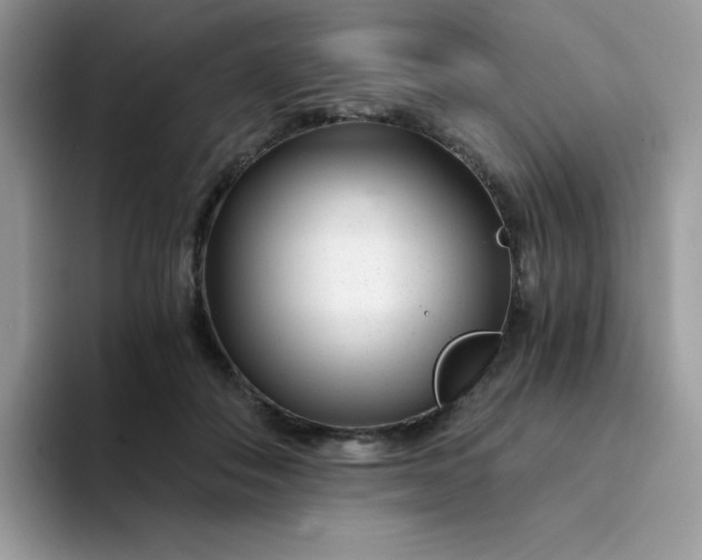 X0000094200506200711091221