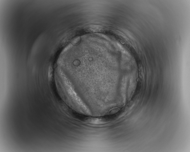 X0000094200507200711091221