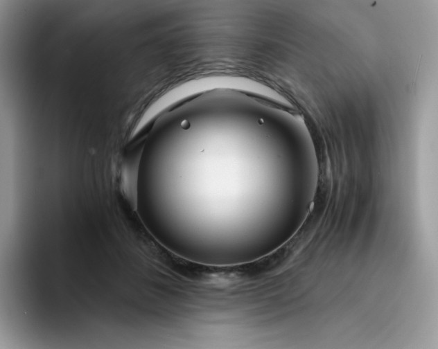 X0000094200508200711091221