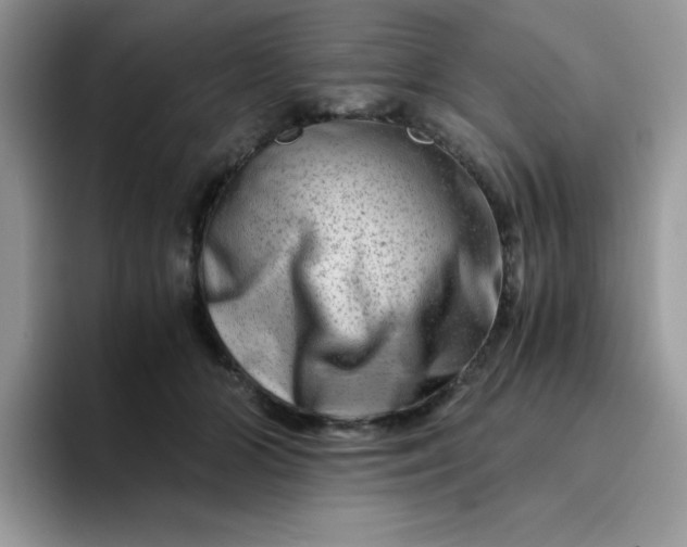 X0000094200510200711091221