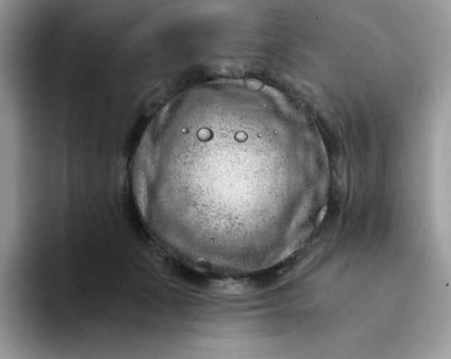 X0000094200511200711091221