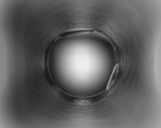 X0000094200512200711091221