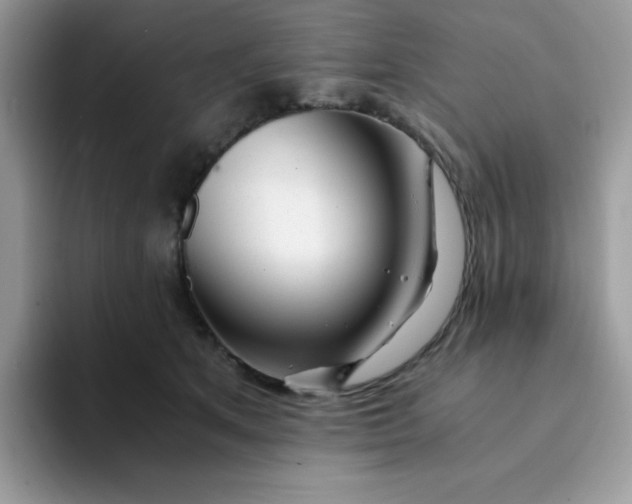 X0000094200513200711091221