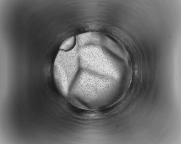 X0000094200514200711091221