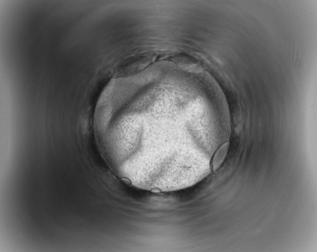 X0000094200515200711091221