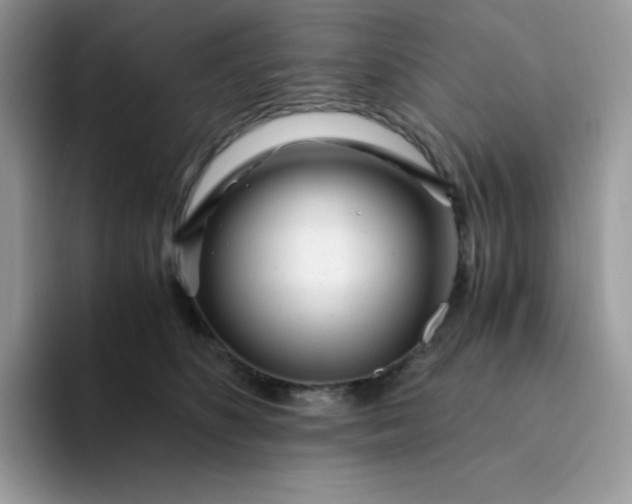 X0000094200516200711091221