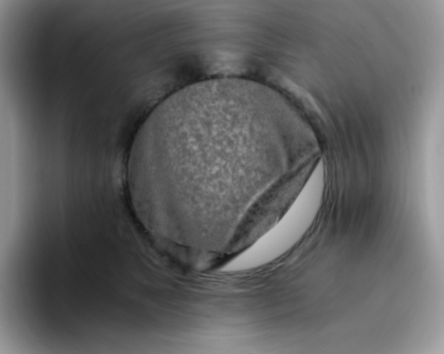 X0000094200517200711091221