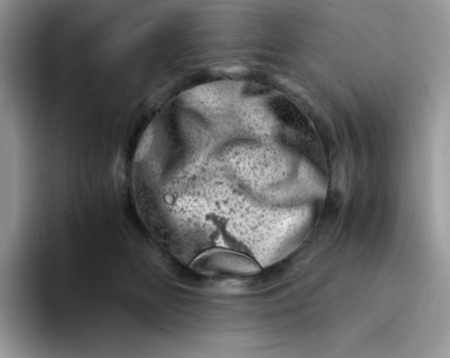 X0000094200518200711091221