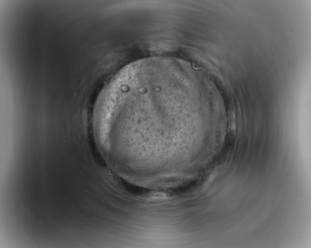 X0000094200519200711091221