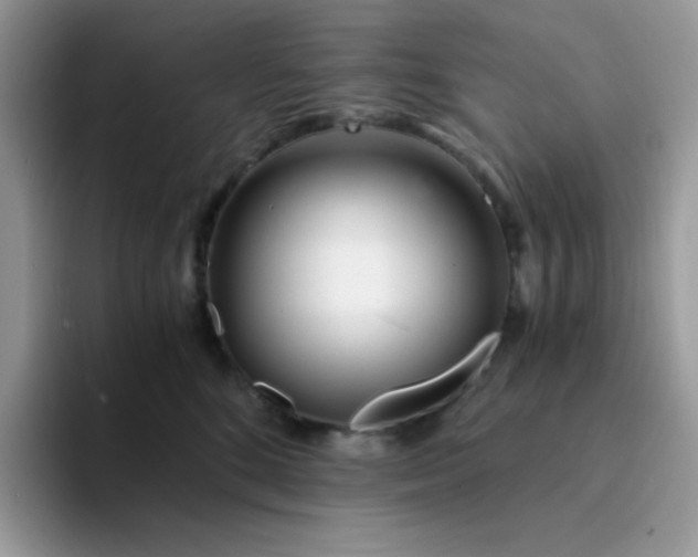 X0000094200520200711091221