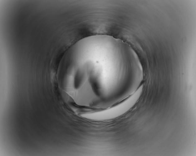 X0000094200521200711091221