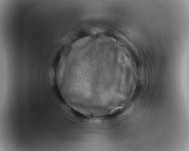 X0000094200523200711091221