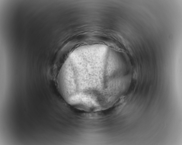 X0000094200524200711091221