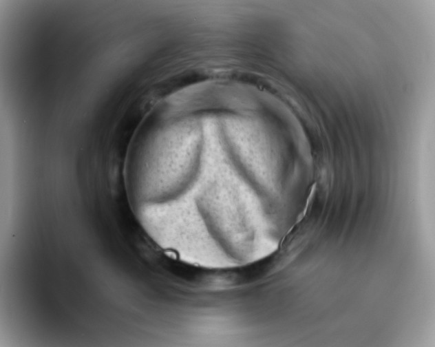 X0000094200525200711091221