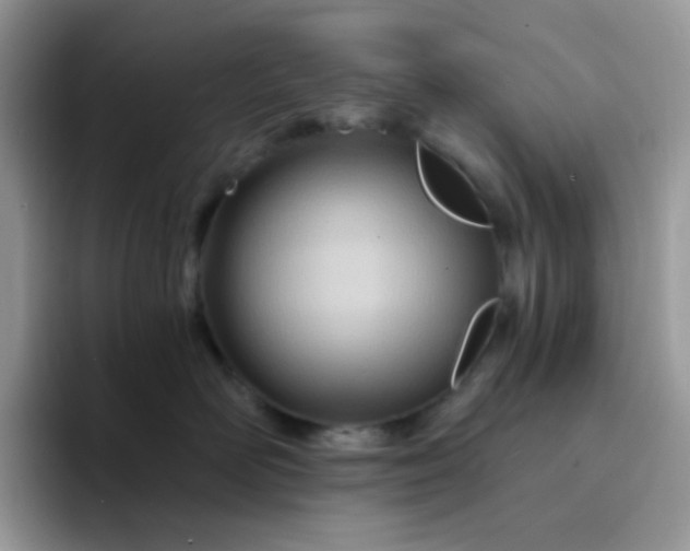 X0000094200526200711091221