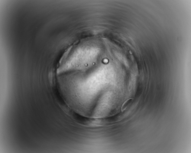 X0000094200527200711091221