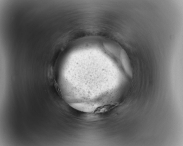 X0000094200528200711091221