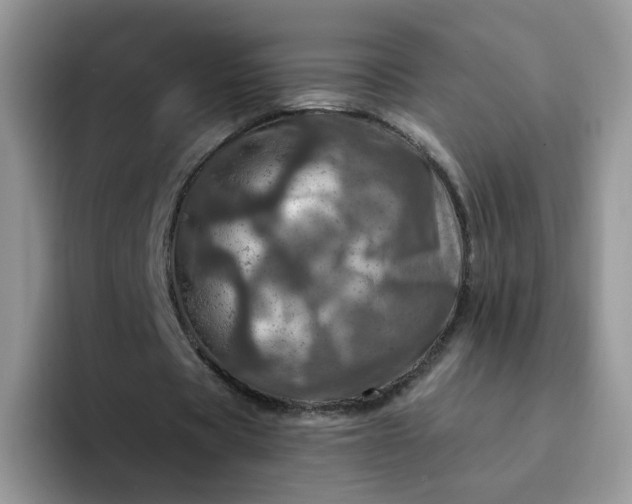 X0000094200529200711091221