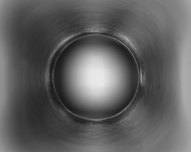 X0000094200531200711091221