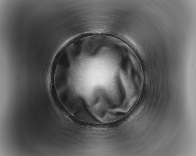 X0000094200532200711091221