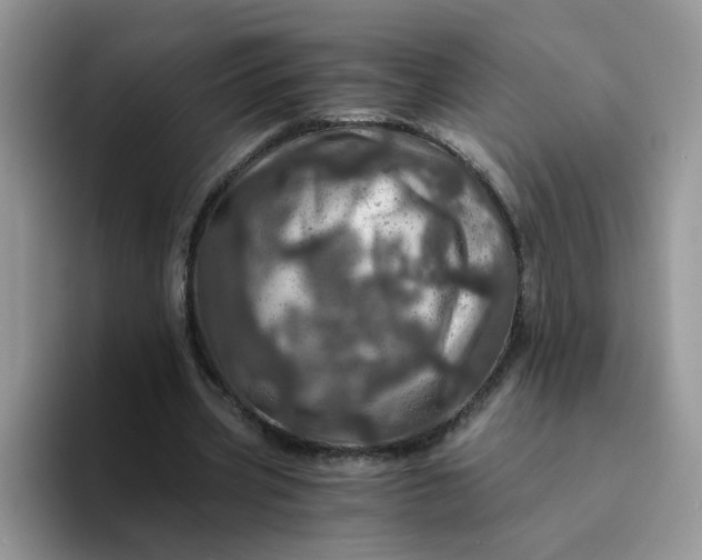 X0000094200533200711091221