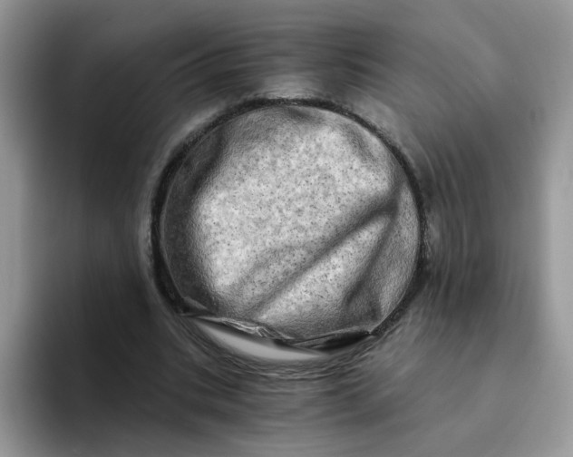 X0000094200535200711091221