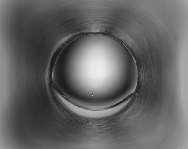 X0000094200536200711091221