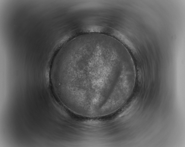 X0000094200537200711091221